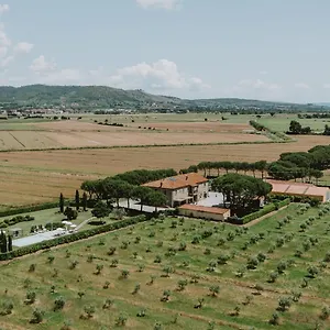 Farm stay Terra Di, Cortona